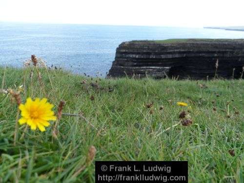 Around Downpatrick Head